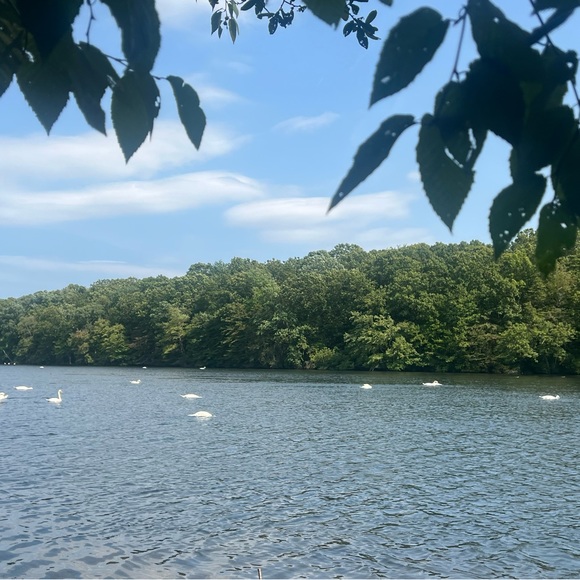 Meet your Posher, Panagiota - Picture 2 of 3